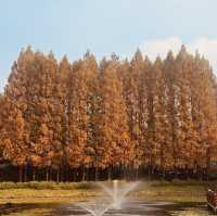 Autumn Foliage Framing the Presidential Villa