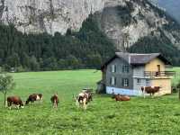 🏔️✨ GRINDELWALD – THE SWISS ALPINE DREAM VILLAGE 🇨🇭