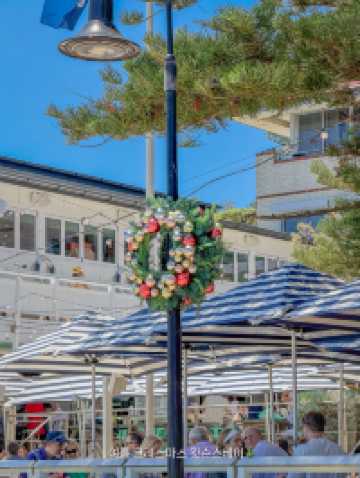 🇦🇺시드니에서 꼭 가야 하는 바다 뷰 스팟, 왓슨스베이 Watsons Bay🇦🇺