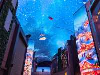 역대급 화려한 리조트 다녀왔어요!