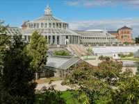 Glasshouse Calm & Nordic Bloom