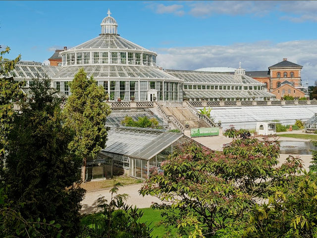 Glasshouse Calm & Nordic Bloom