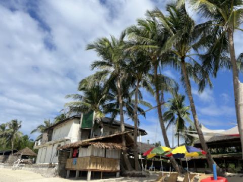 An honest review of the Boracay Carabao Tour, a one-day trip.
