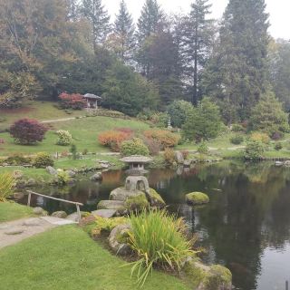The Japanese Garden at Cowden
