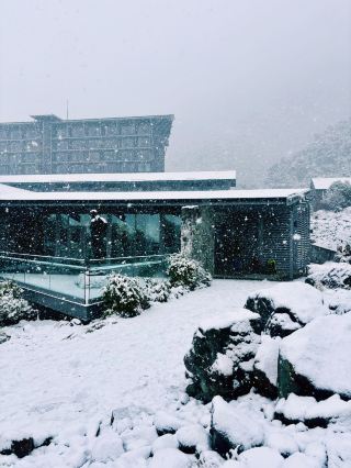 【新西蘭南島】Merino Country Cafe & Gifts：庫克山雪山奇遇