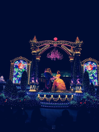 光と影の饗宴】東京ディズニー：煌めくエレクトリカルパレードと夜空の