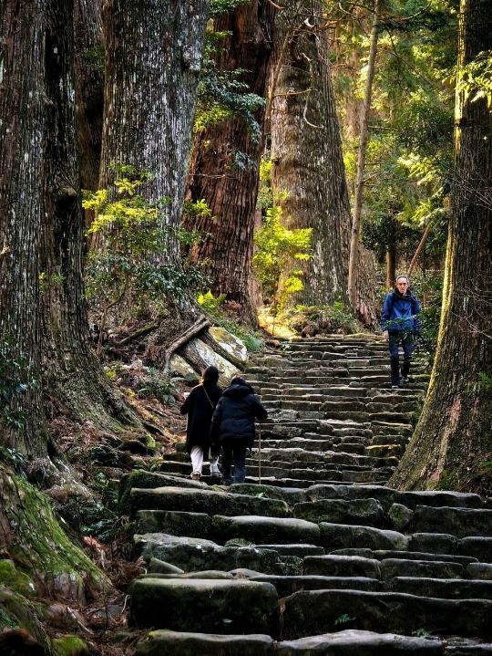 熊野古道 —— 時と森を抜ける聖なる道を歩く。 | Trip.com 田辺