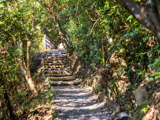 五指山系_劍潭山親山步道