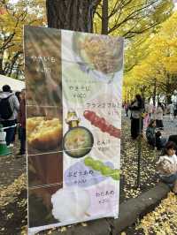 北海道大學：「北大金葉季」被銀杏樹包圍的療癒散策日記📓