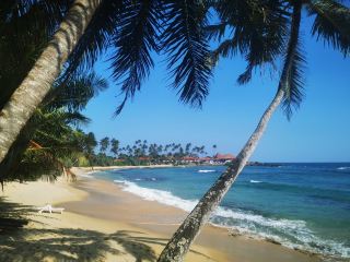 Mirissa - The Sri Lankan Beach I Had in Mind