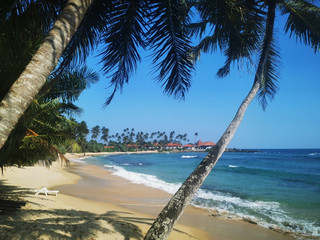 Mirissa - The Sri Lankan Beach I Had in Mind