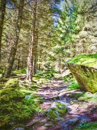 Tamagawa Onsen and the Cliff Moss Sulphur Field: Akita's 6 kg/min Acid Steameasytravelpost #Tamagaw