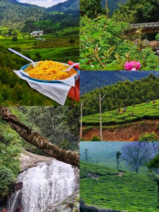 #bucketlistdestinations 
🌿✨ Beautiful Munnar Trip – A Dreamy Escape to Kerala’s Green Paradise ✨🌿

Nestled in the Western Ghats of Kerala, Munnar is a breathtaking hill station filled with rolling tea gardens, misty mountains, and refreshing cool air. A trip to Munnar feels like stepping into a painting where every view is more beautiful than the last.

🌄 1. Breathtaking Tea Gardens
Endless carpets of green tea plantations stretch across the hills. Walking through these estates is peaceful and refreshing, with cool breeze and scenic views everywhere.

💦 2. Stunning Waterfalls
Munnar is home to many beautiful waterfalls like Attukal and Lakkam Falls. The sound of flowing water surrounded by greenery makes it a perfect nature escape.

🐘 3. Eravikulam National Park
A must-visit spot to see the rare Nilgiri Tahr and enjoy panoramic views of the hills. During the blooming season, you can also witness the famous Neelakurinji flowers.

🚣♀️ 4. Mattupetty Dam & Lake
Enjoy boating in calm waters surrounded by mountains. It’s a perfect place for family relaxation and photography.

🌫️ 5. Misty Weather & Scenic Viewpoints
Munnar is famous for its romantic mist-covered hills. Sunrise and sunset views from Top Station and Echo Point are truly unforgettable.

🍃 Travel Tips
· Best time to visit: September to March
· Carry light woolens (weather is cool)
· Book hotels in advance during peak season
· Try local Kerala food and fresh tea

💚 
A trip to Munnar is not just travel, it’s an experience of peace, nature, and beauty. Whether you are a couple, family, or solo traveler, Munnar will steal your heart forever. 🌿✨

#MunnarTrip  #KeralaTourism  #HillStation  #TravelIndia  #NatureLovers  #TeaGardens  #MunnarDiaries  #IncredibleIndia 