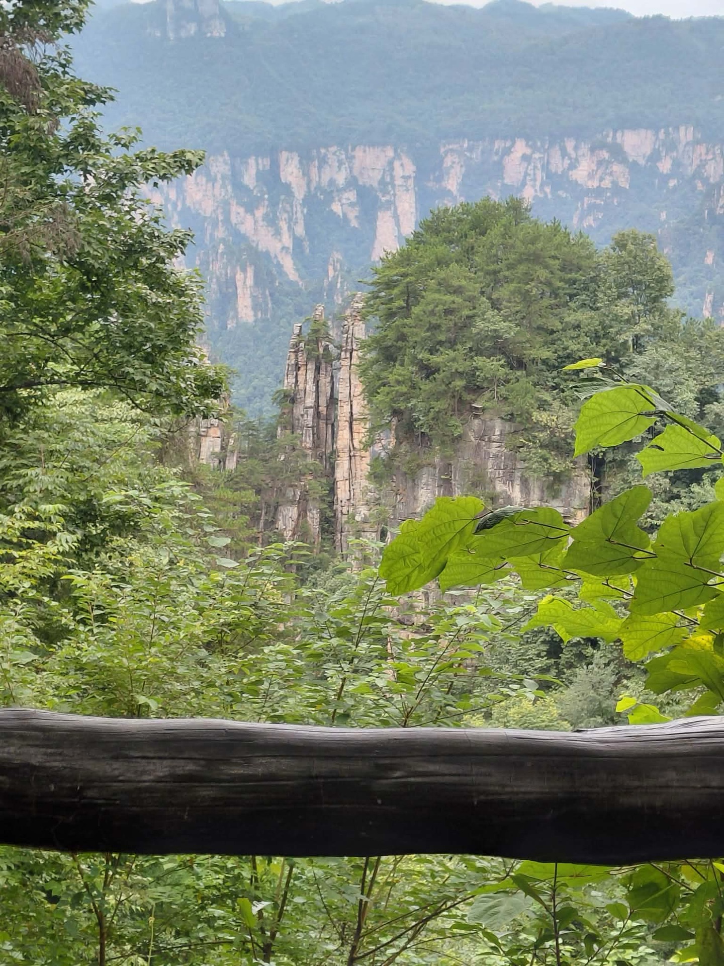 Tianmeshan