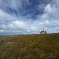 Hidden Hut in Godley Head Tracks, NZ