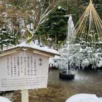 【金沢市🇯🇵兼六園】雪景色に包まれて☺️庭園散策