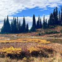 The natural beauty of Sunrise national Park 