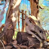 A family of forest giants designed in harmony with nature to illustrate the scale of wonder