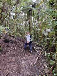 Hiking Mt.Apo in Spring 