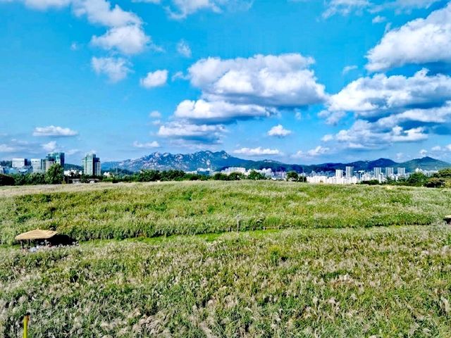 天空公園
