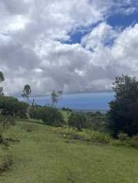 Discover the Serenity of Ali‘i Kula Lavender Farm – Maui’s Hidden Gem