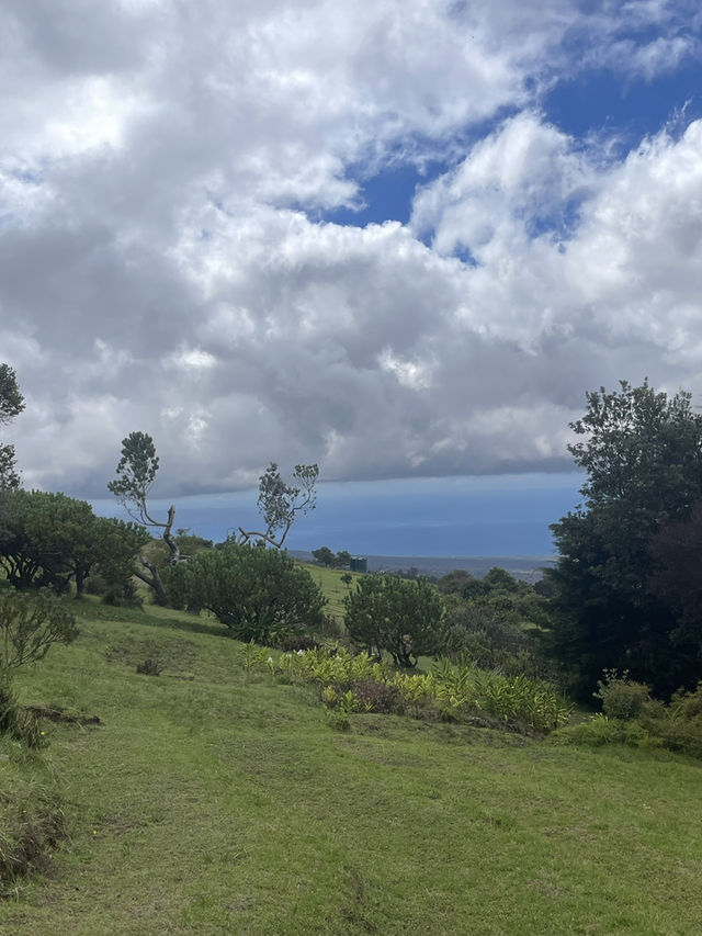 Discover the Serenity of Ali‘i Kula Lavender Farm – Maui’s Hidden Gem