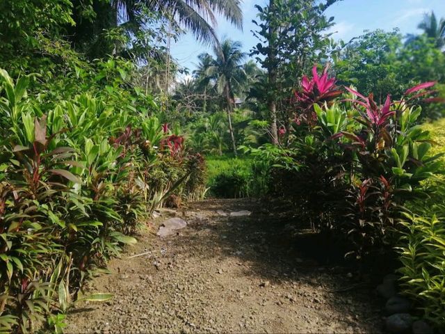 Brgy Sablang