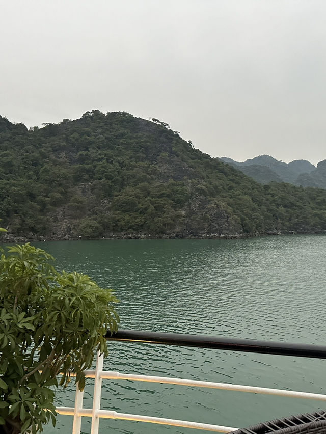 🌊越南下龍灣兩日一夜遊船體驗｜絕美海上風光＋浪漫船宿｜超推！