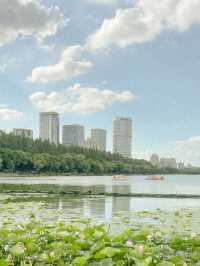 Peaceful Afternoon at Xuanwu Lake 🌿✨