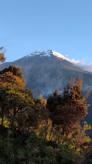 乞力馬扎羅山一日健行－探索非洲最高峰的山坡