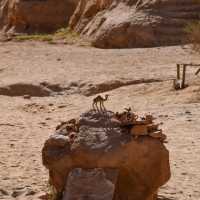 Discover the Triclinium at Little Petra