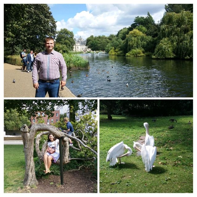 🌳 Roaming London's Serenity: St. James's Park Stroll 🌼