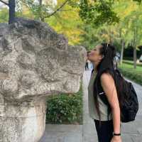 A journey through China's ancient Capital: Nanjing