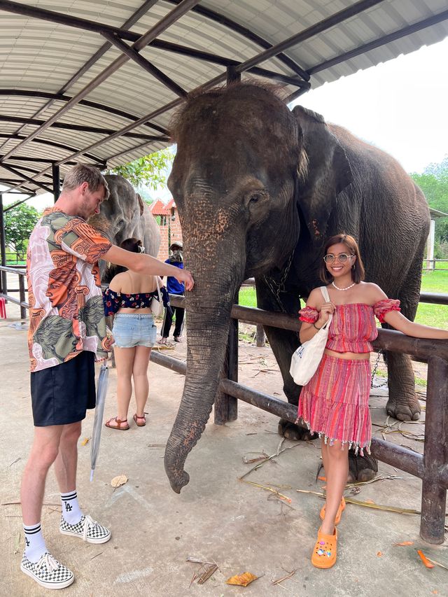 Kanchanaburi Safari Park ❤️‍🔥🦓🦒🐘