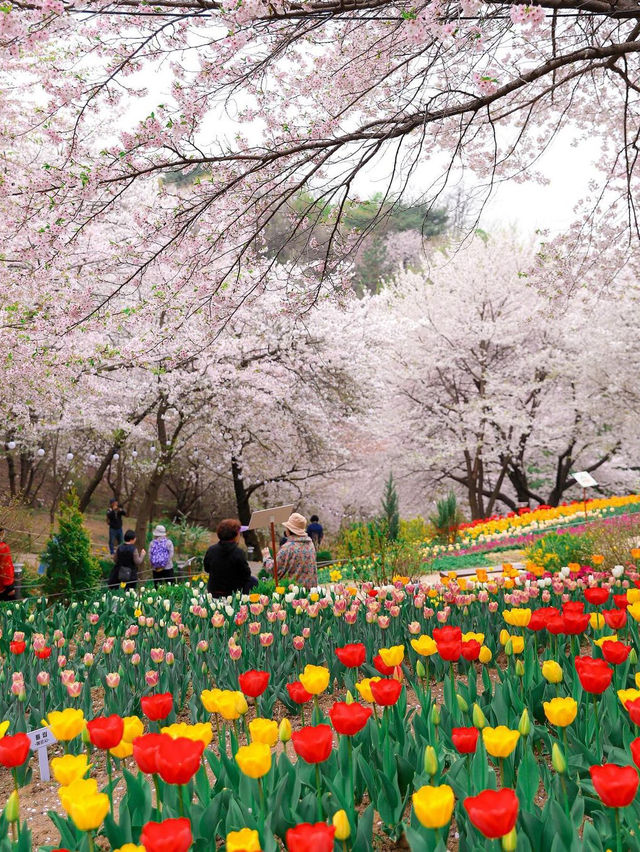 안산 연희숲속쉼터 🌺🌸