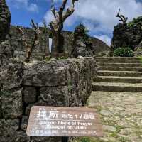 🌸中城城跡🌸坐落在遼闊石灰岩高原上的城堡殘壁