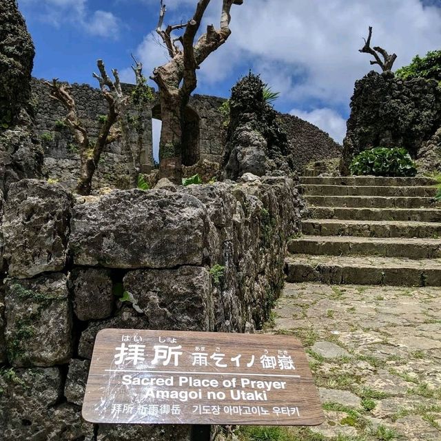 🌸中城城跡🌸坐落在遼闊石灰岩高原上的城堡殘壁