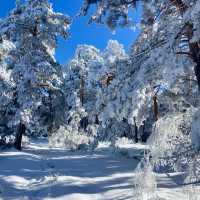Skiing Across Borders