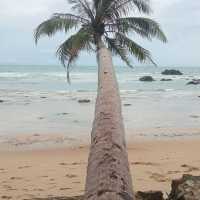 Ngapali beach in Myanmar 🇲🇲 
