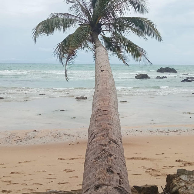 Ngapali beach in Myanmar 🇲🇲 