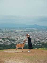 Nara Japan 🇯🇵 