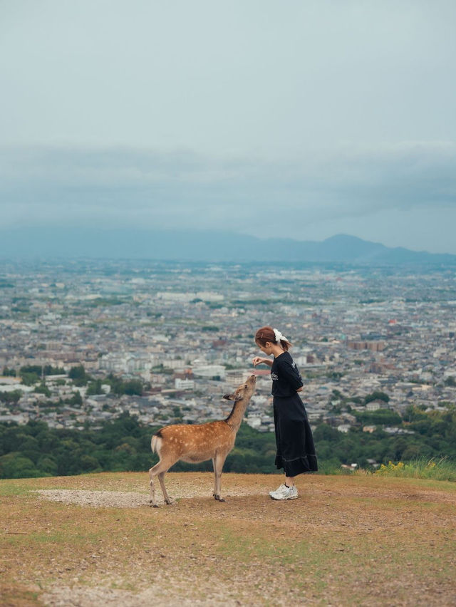 Nara Japan 🇯🇵 
