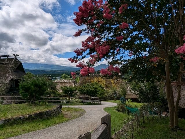One day at the Five Lakes of Fuji. Just two hours drive from Tokyo there is a magnificent place!