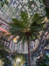 Guanghua Shopping Mall, Chongqing – A Shopping Paradise with a Secret Garden