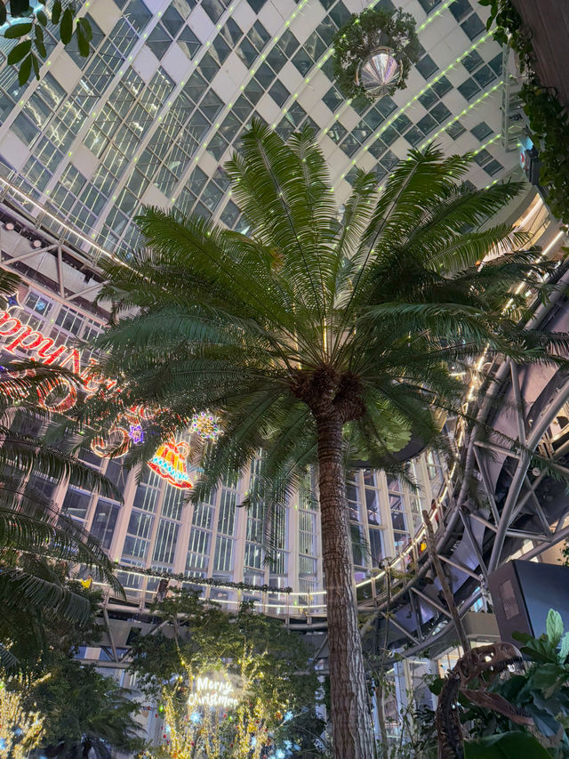 Guanghua Shopping Mall, Chongqing – A Shopping Paradise with a Secret Garden