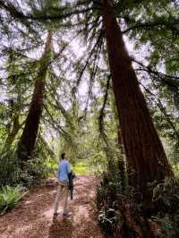 Kew Gardens: London’s Green Oasis of Wonders