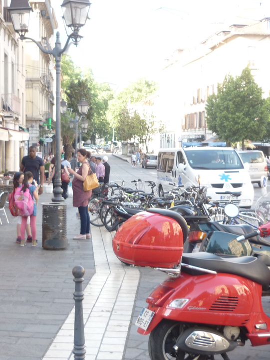 Exploring the Heart of Grenoble