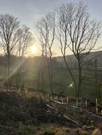 The best views of Windermere 