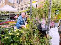 🌸 Columbia Road Flower Market: East London’s Sunday Bloom