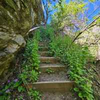 Absolutely loved the ecopath 
